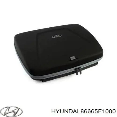  Hyundai/Kia 86665F1000 ціна, від 192.57 USD