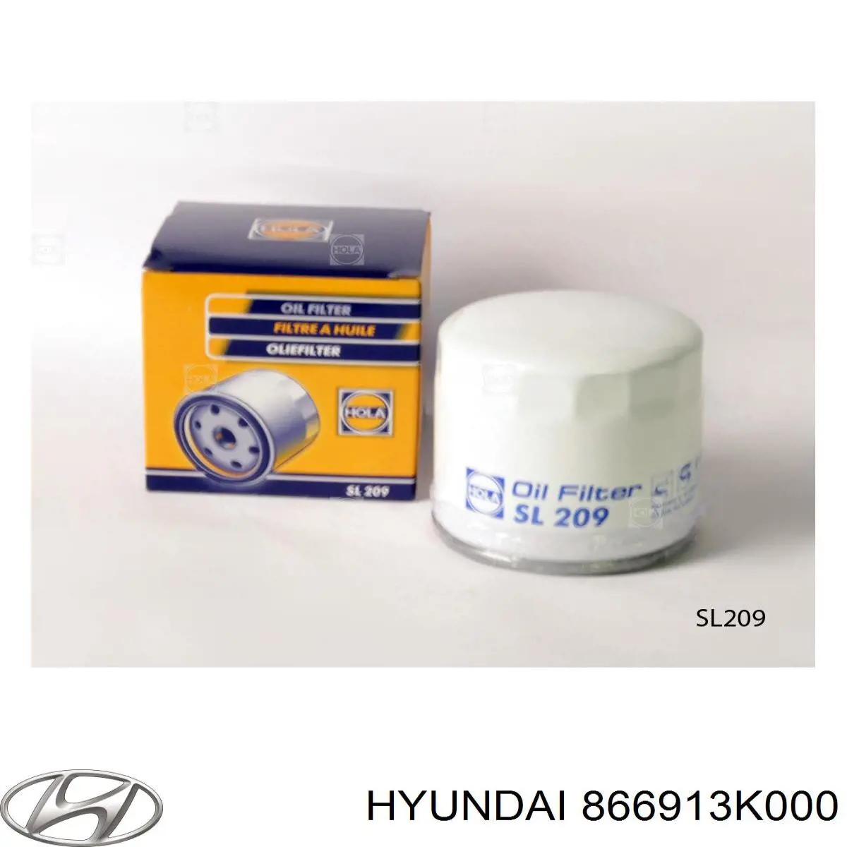 Захист заднього бампера 866913K000 Hyundai/Kia