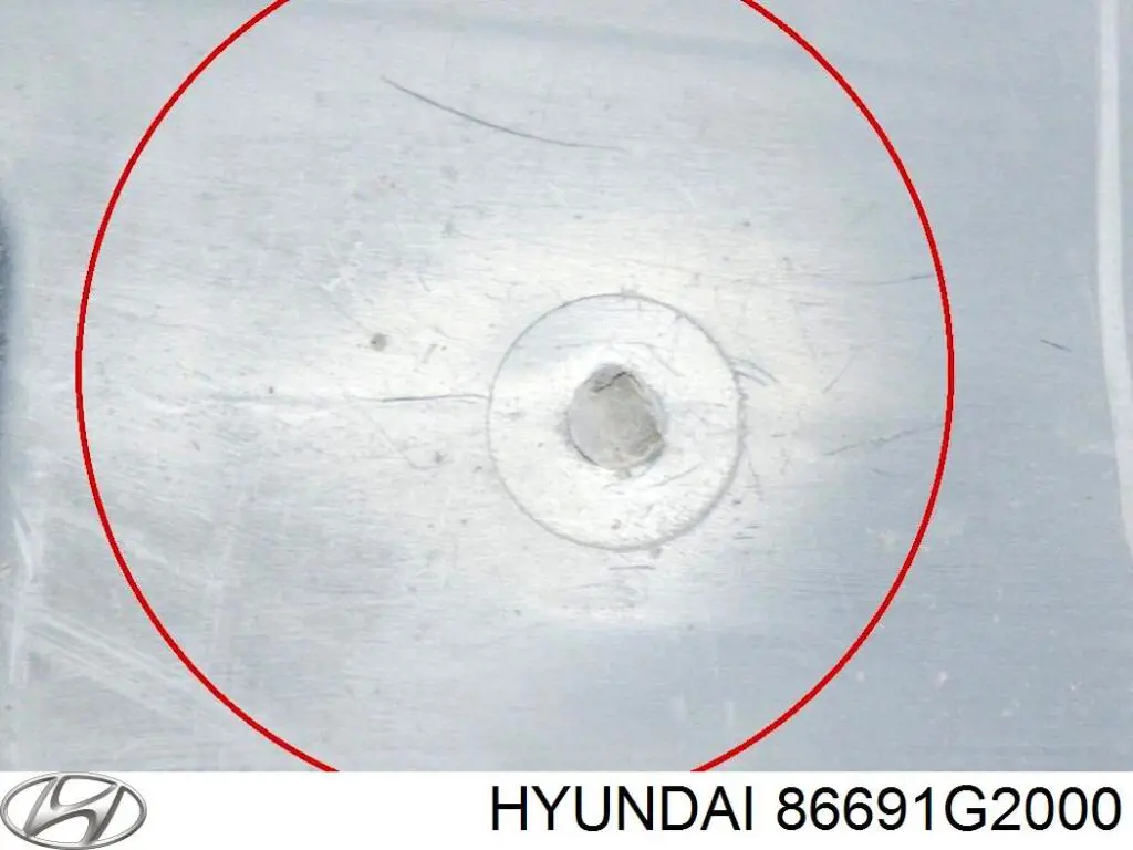 Захист заднього бампера 86691G2000 Hyundai/Kia