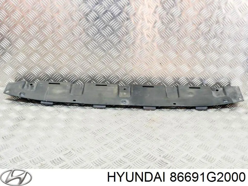 86691G2000 Hyundai/Kia Захист заднього бампера