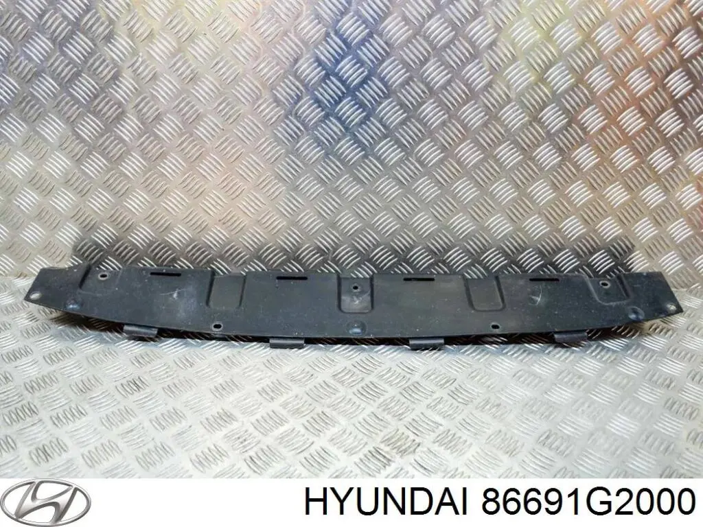 Купити 86691G2000 Hyundai/Kia Захист заднього бампера
