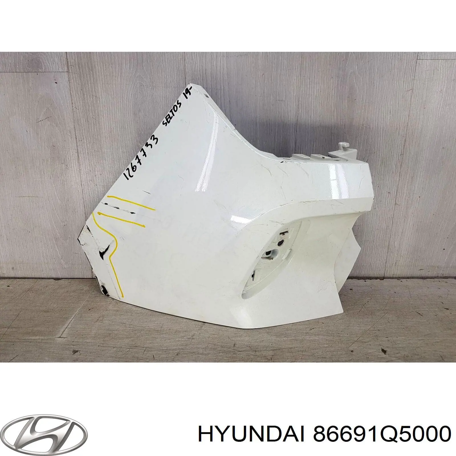 Купити 86691Q5000 Hyundai/Kia 