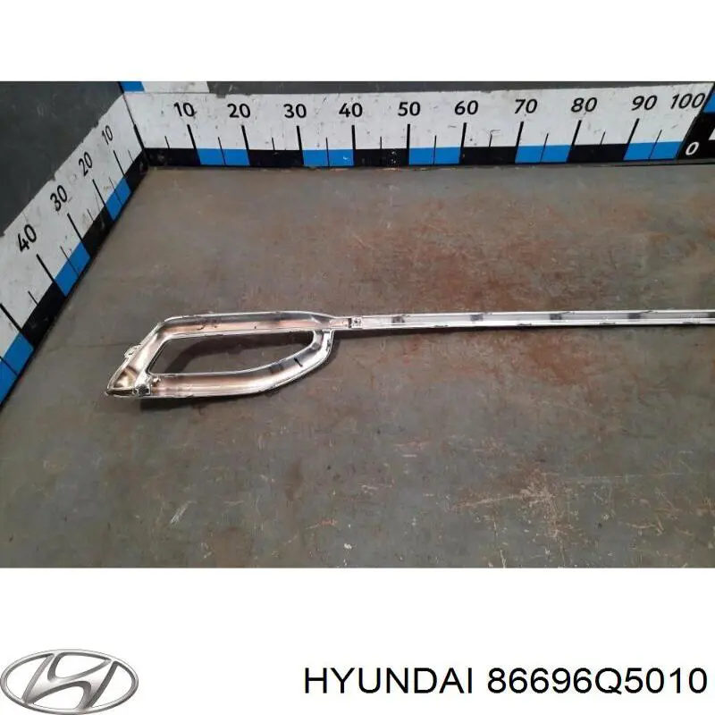 Купити 86696Q5010 Hyundai/Kia 