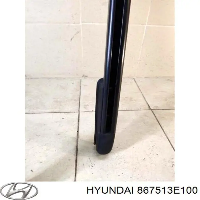 Рейлінг даху лівий Hyundai/Kia 867513E100 ціна, від 7.60 USD