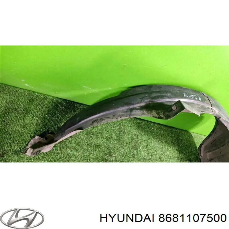 8681107500 Hyundai/Kia Підкрилок переднього крила, лівий