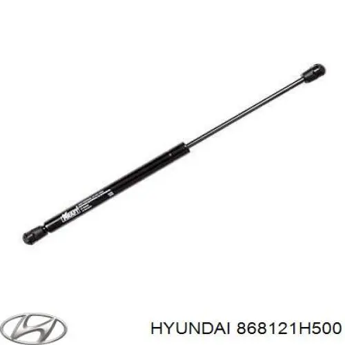 868121H500 Hyundai/Kia Підкрилок переднього крила, правий