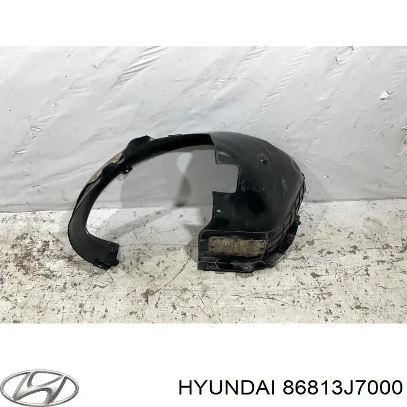 Підкрилок переднього крила, лівий Hyundai/Kia 86811J7000 ціна, від 104.99 USD