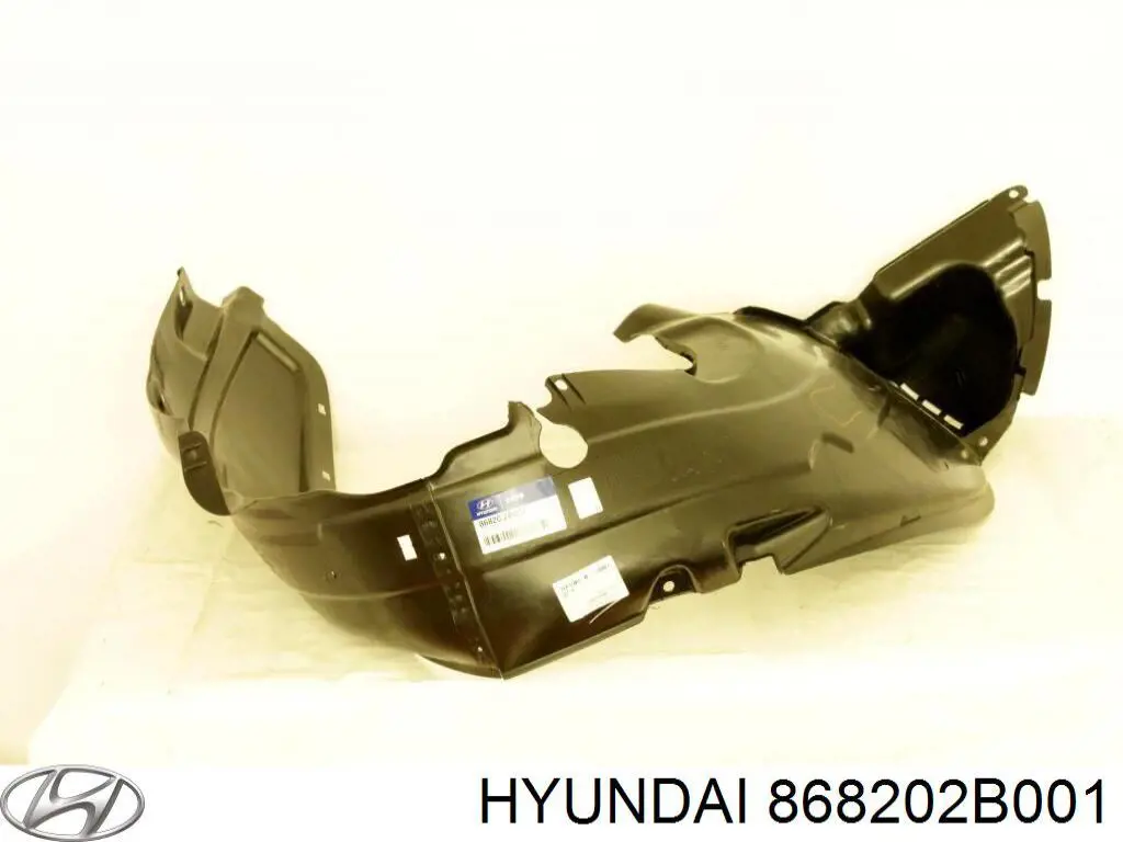 868202B001 Hyundai/Kia підкрилок переднього крила, правий