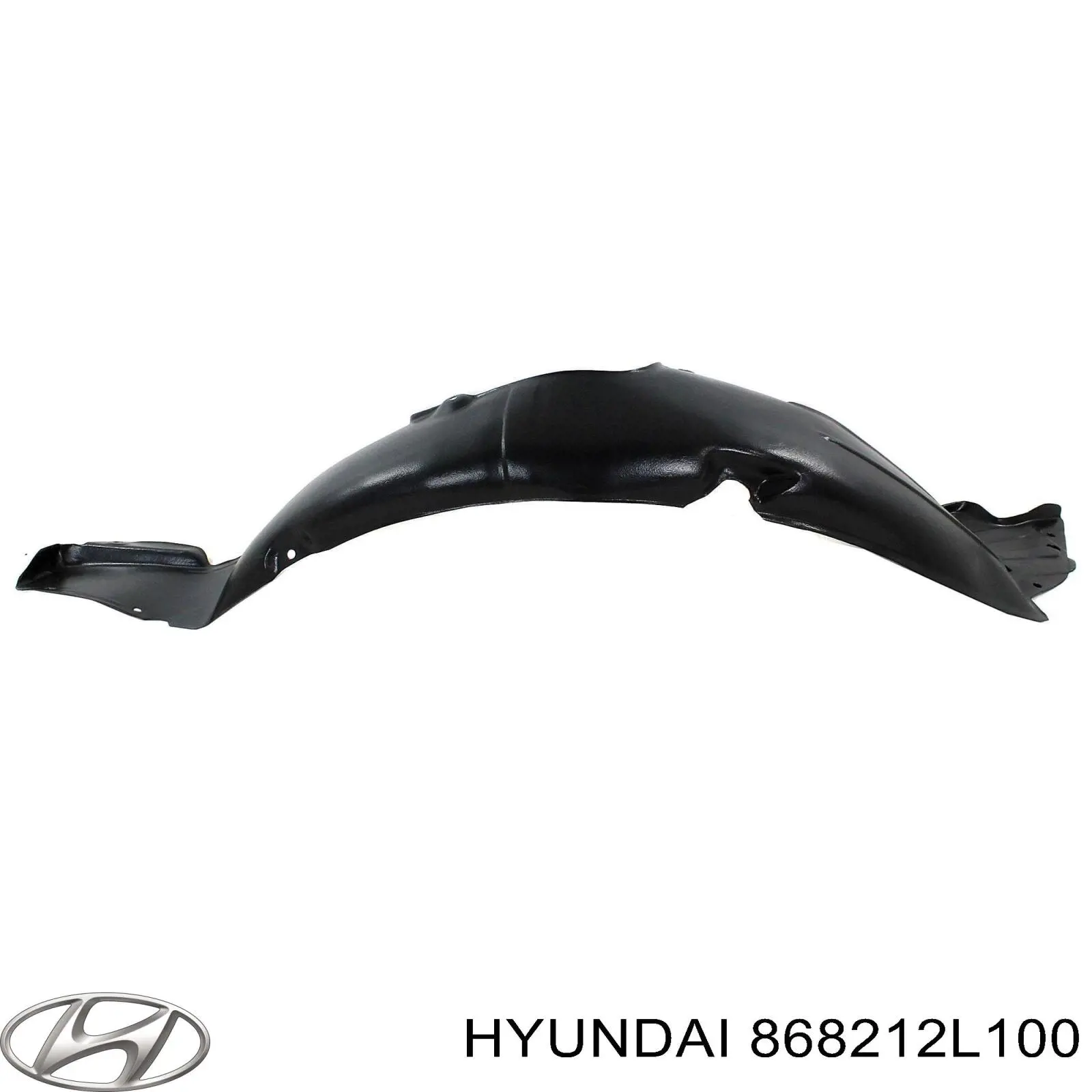 Купити 868212L100 Hyundai/Kia Підкрилок заднього крила, лівий