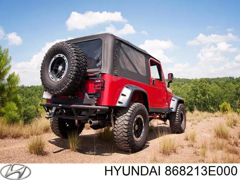 Купити 868213E000 Hyundai/Kia Підкрилок заднього крила, лівий
