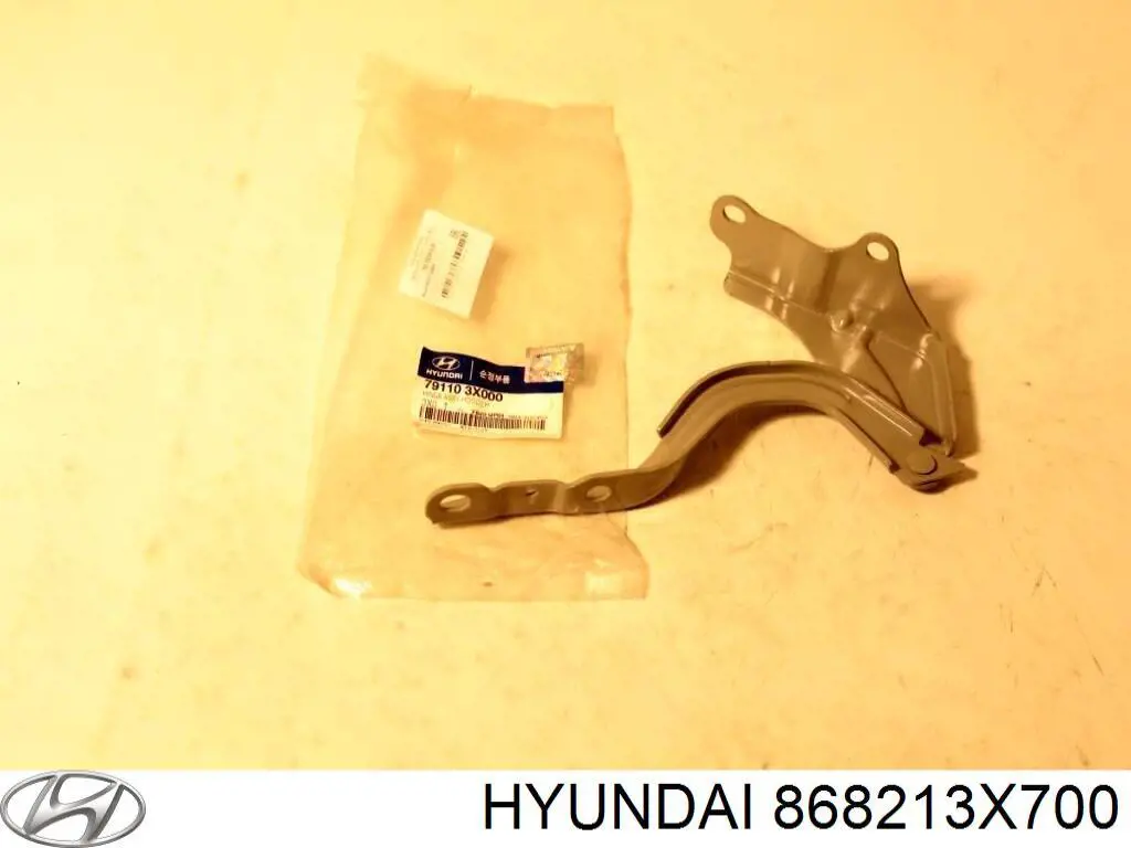 Підкрилок заднього крила, лівий задній Hyundai/Kia 868213X700 ціна, від 38.29 USD