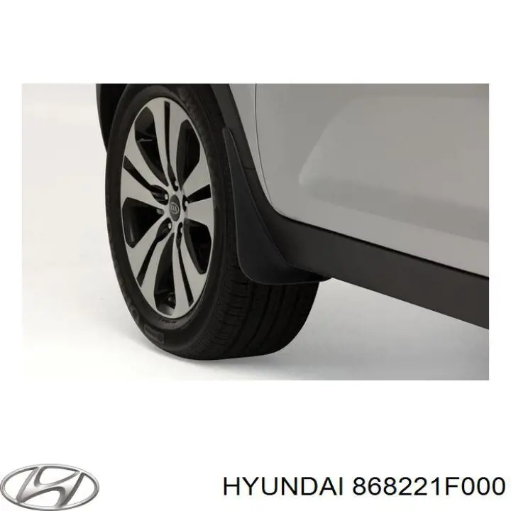 Підкрилок заднього крила, правий Hyundai/Kia 868221F000 ціна, від  USD