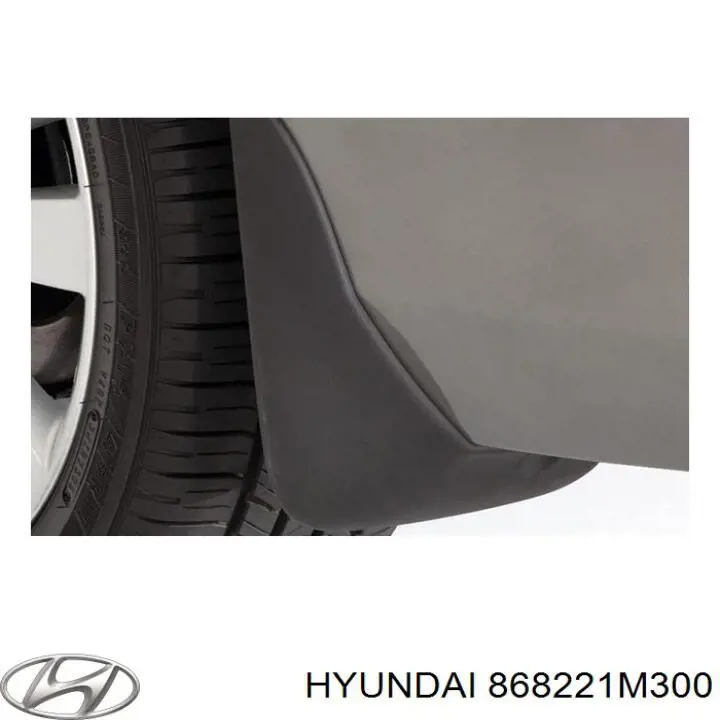 868221M300 Hyundai/Kia підкрилок заднього крила, правий