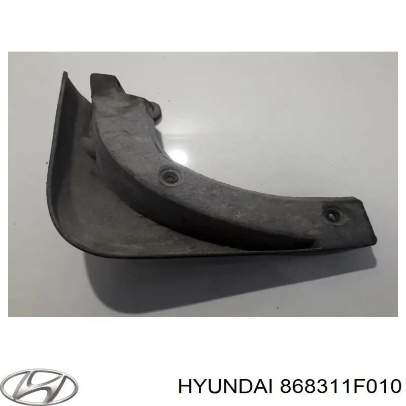 Бризковики передній, лівий Hyundai/Kia 868311F010 ціна, від 30.56 USD