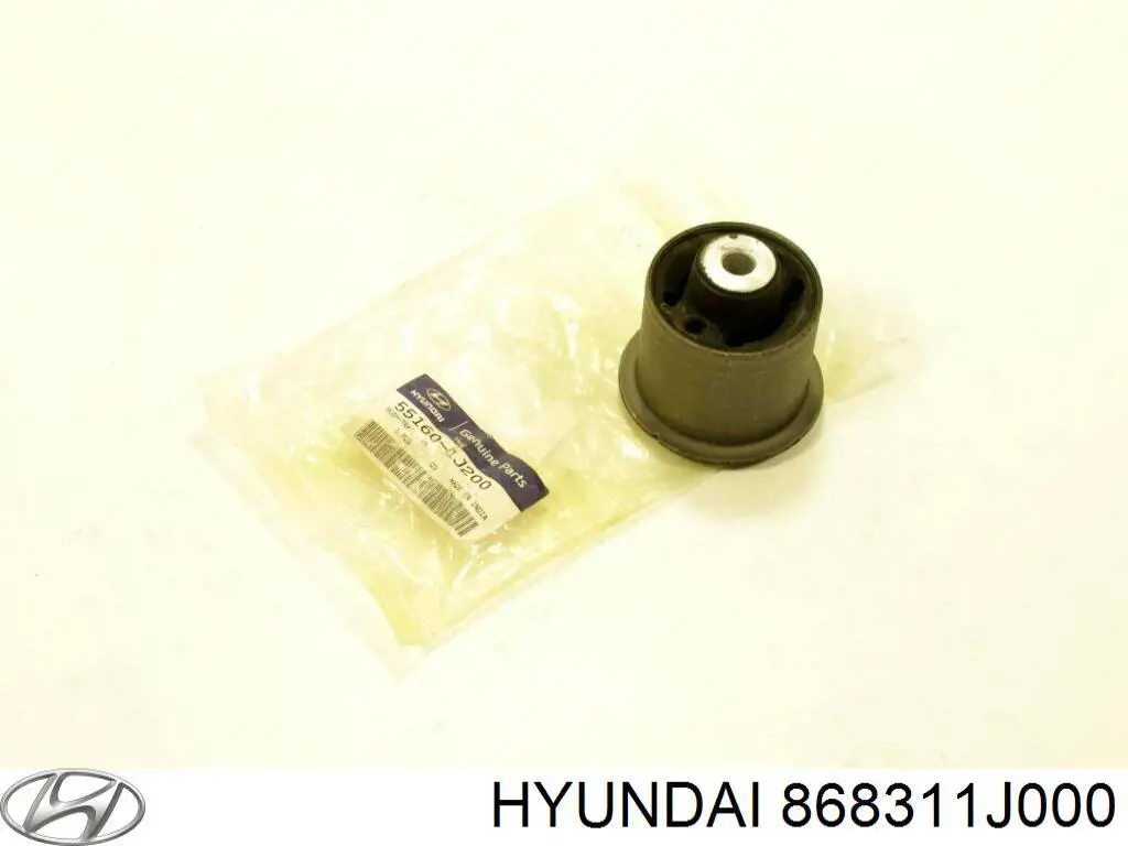 868311J000 Hyundai/Kia бризковики передній, лівий