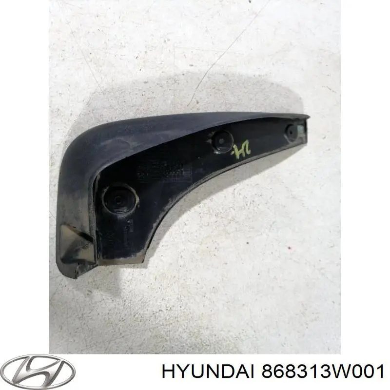 Купити 868313W001 Hyundai/Kia Бризковики передній, лівий