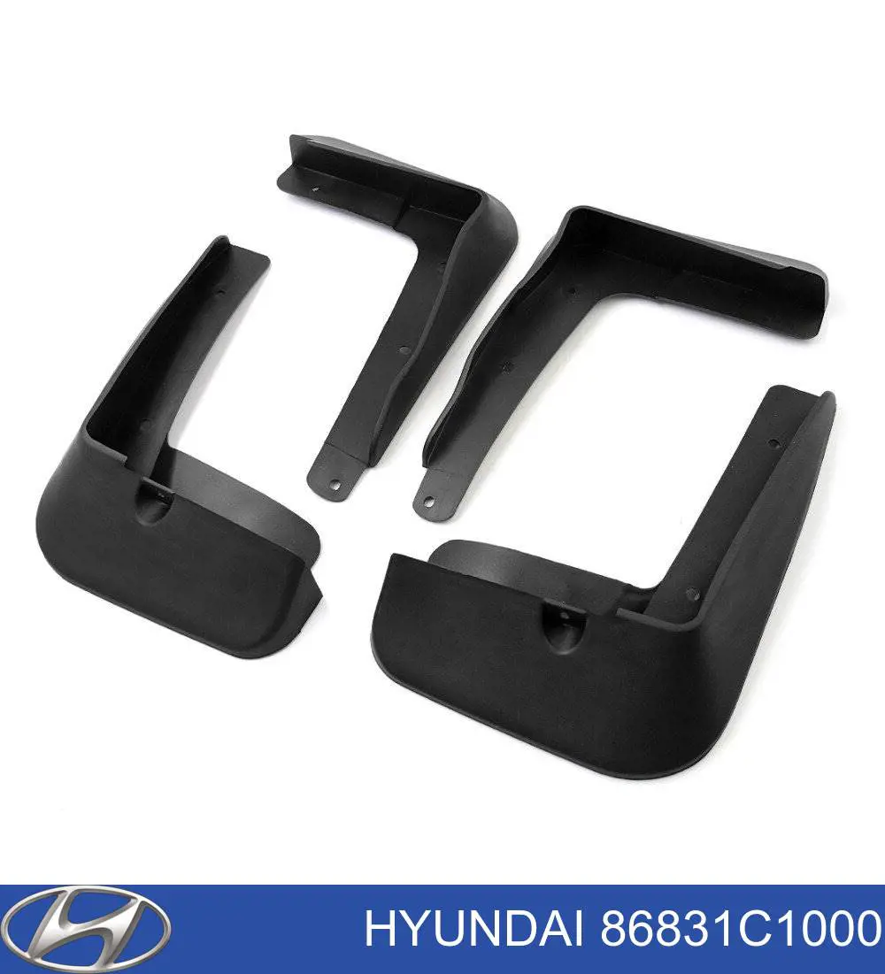 Бризговик передній, лівий Hyundai/Kia 86831C1000 ціна, від 3.80 USD