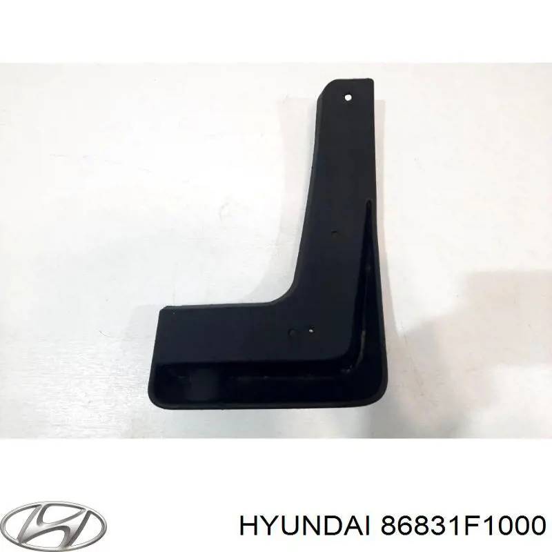 Бризговик передній, лівий Hyundai/Kia 86831F1000 ціна, від 12.29 USD