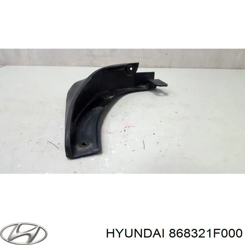 Купити 868321F000 Hyundai/Kia Бризковики передній, правий