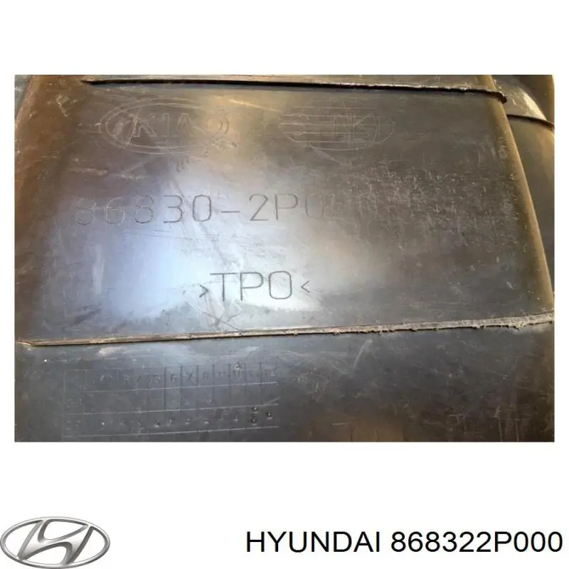 868322P000 Hyundai/Kia Бризковики передній, правий