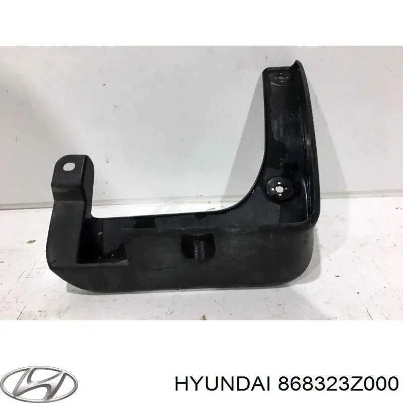Купити 868323Z000 Hyundai/Kia Бризковики передній, правий