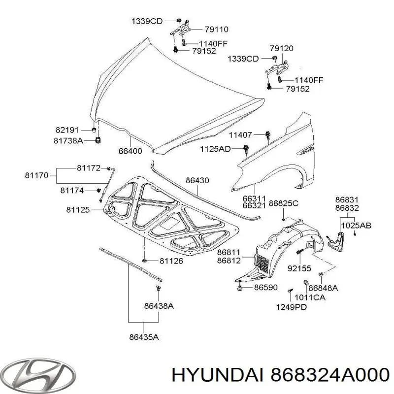 Купити 868324A000 Hyundai/Kia Бризковики передній, правий