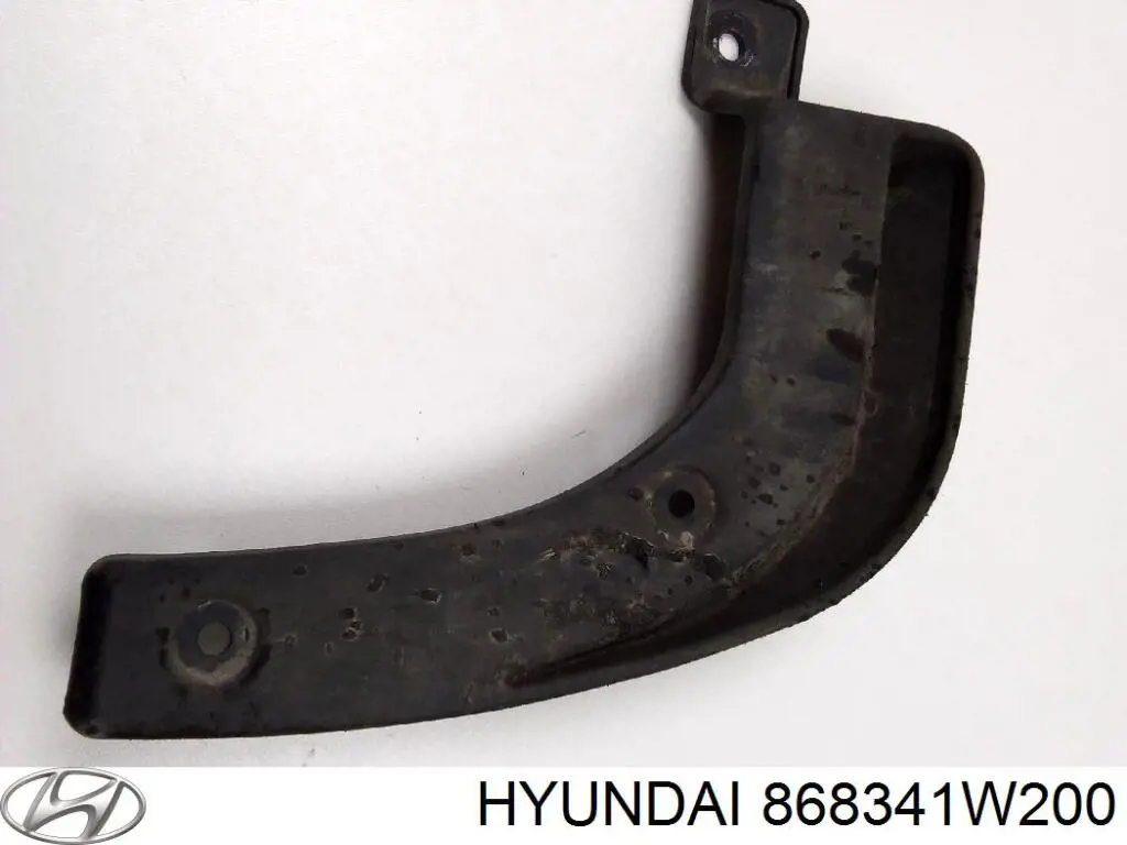 868341W200 Hyundai/Kia Бризковики передній, правий