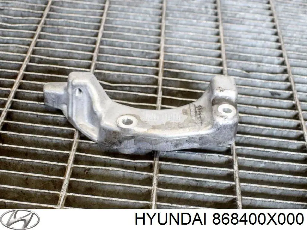 Купити 868400X000 Hyundai/Kia Підкрилок заднього крила, правий