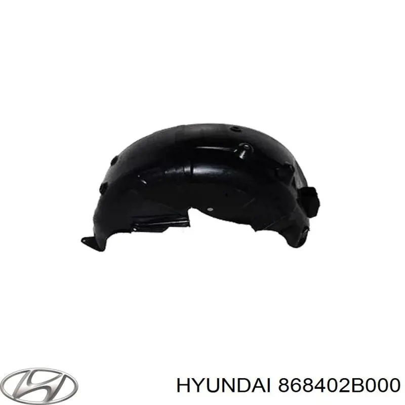 Підкрилок заднього крила, правий Hyundai Santa Fe 2 (Хендай Санта фе)