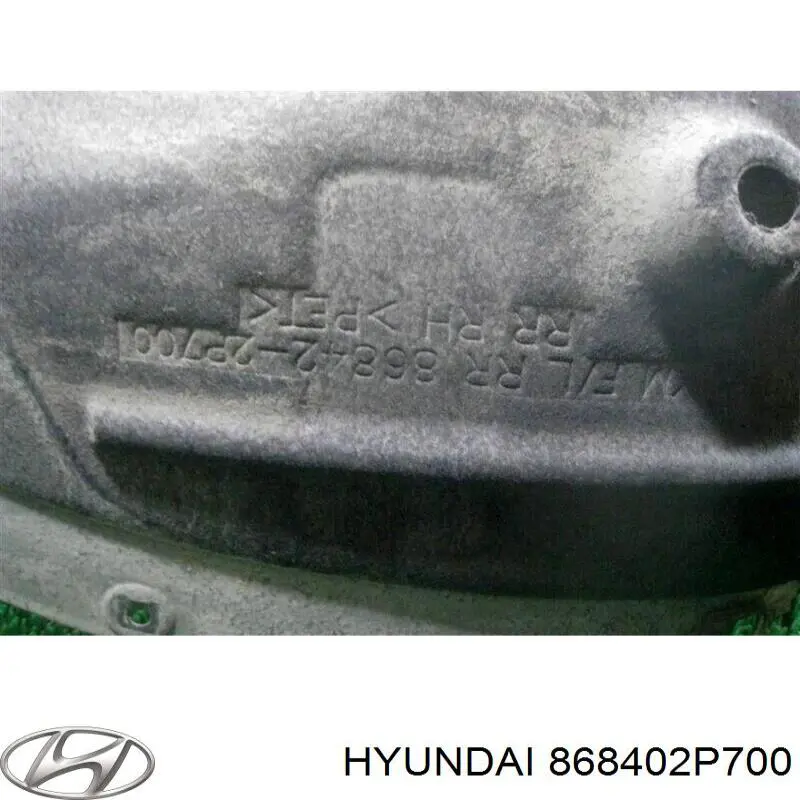 Купити 868402P700 Hyundai/Kia Підкрилок заднього крила, правий