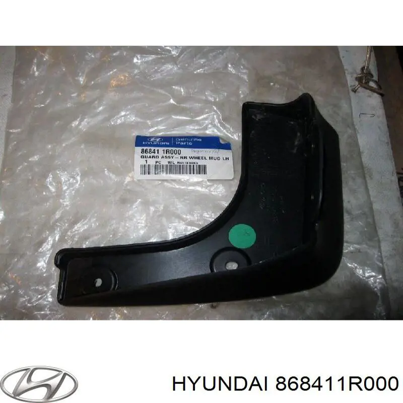 Бризковики задній, лівий Hyundai/Kia 868411R000 ціна, від 16.71 USD
