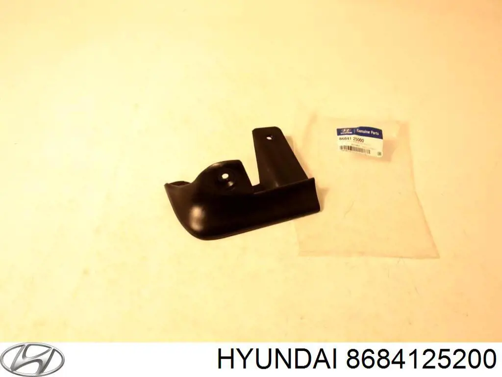 Бризковики задній, лівий Hyundai/Kia 8684125200 ціна, від 34.49 USD