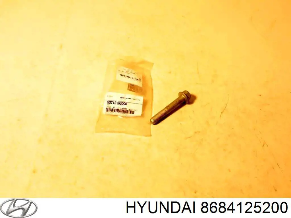 Бризковики задній, лівий Hyundai Accent (LC) (Хендай Акцент)