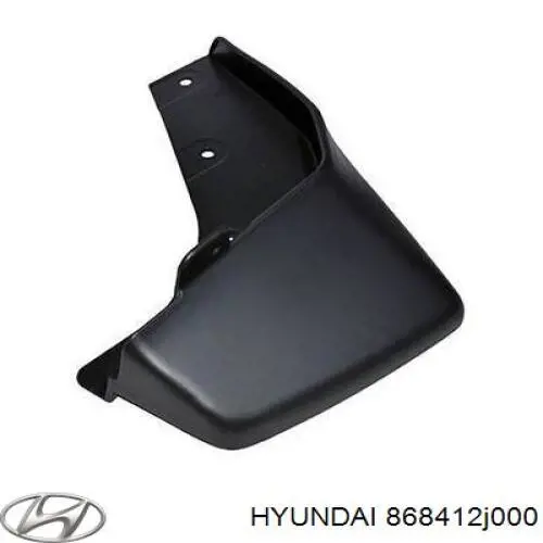 Бризковики задній, лівий Hyundai/Kia 868412J000 ціна, від 8.78 USD