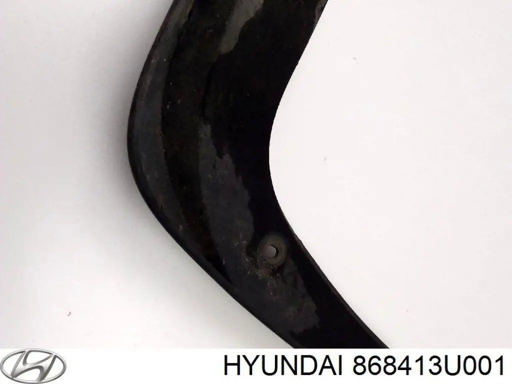 Бризковики задній, лівий Hyundai/Kia 868413U001 ціна, від 6.33 USD