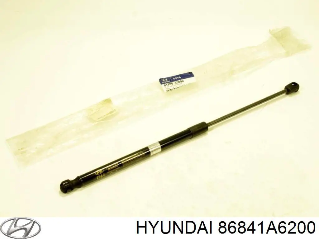 Бризковики задній, лівий Hyundai/Kia 86841A6200 ціна, від 19.66 USD