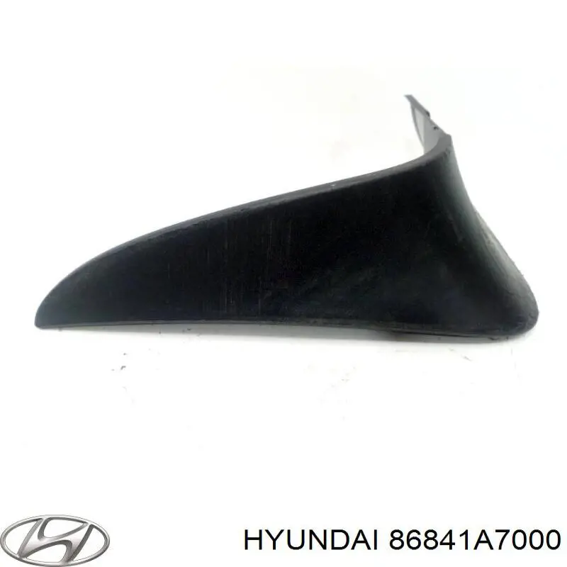 86841A7000 Hyundai/Kia Бризговик задній, лівий