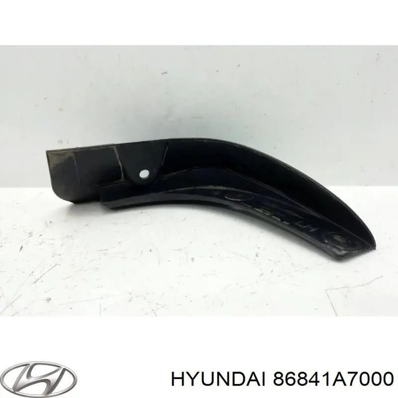 Бризковики задній, лівий Hyundai/Kia 86841A7000 ціна, від 12.85 USD