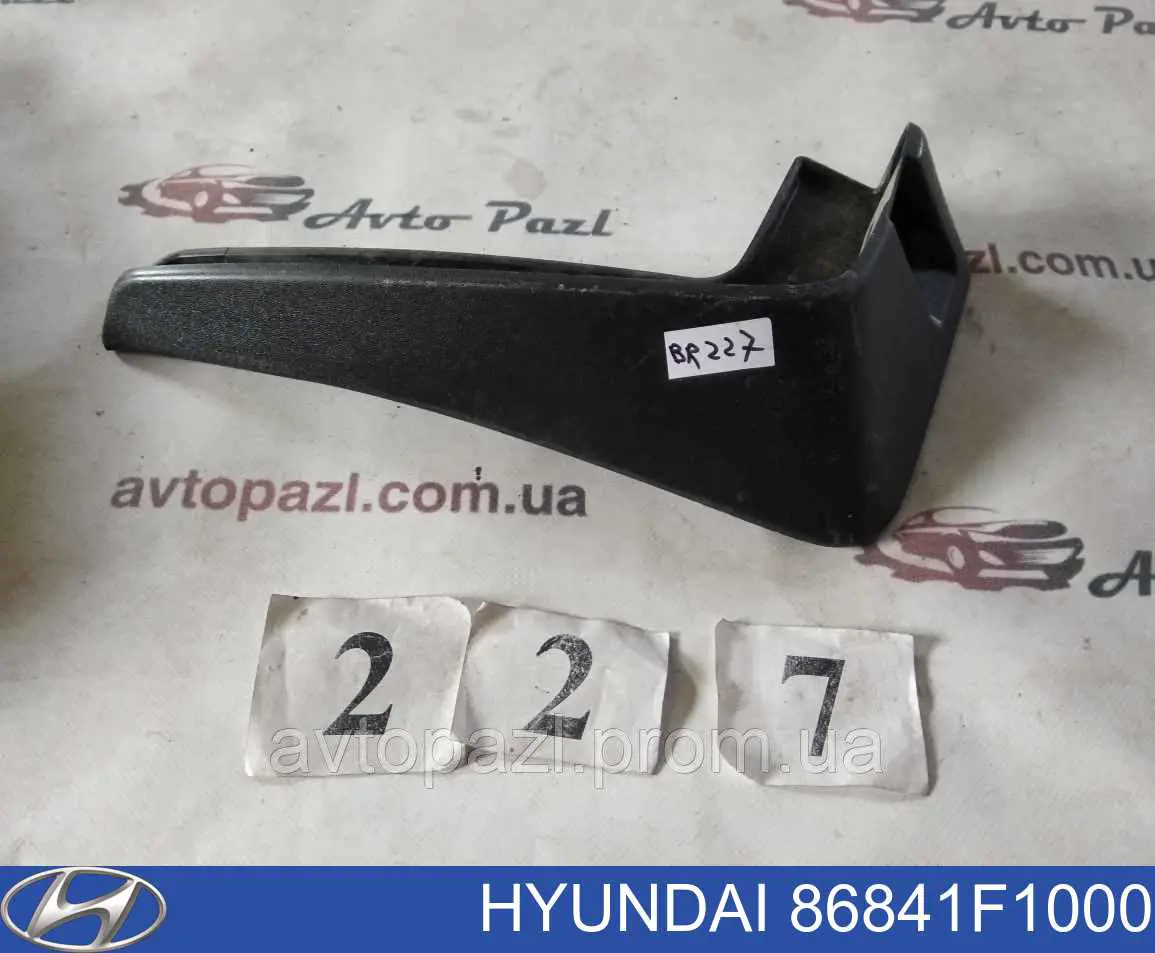 86841F1000 Hyundai/Kia Бризговик задній, лівий