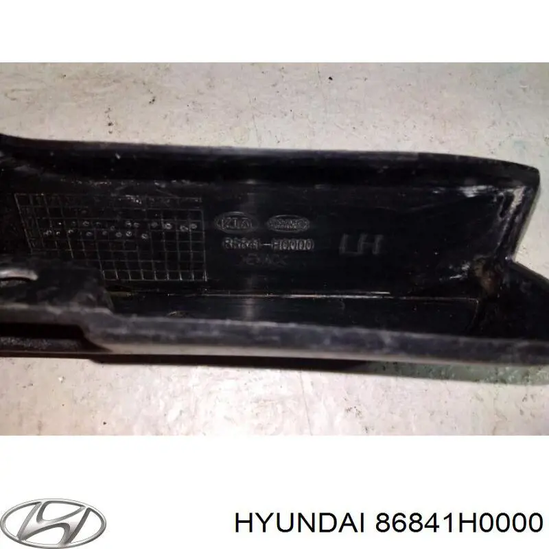 Купити 86841H0000 Hyundai/Kia Бризковики задній, лівий