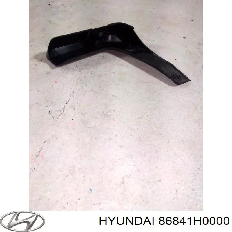 Бризковики задній, лівий Hyundai/Kia 86841H0000 ціна, від 7.28 USD