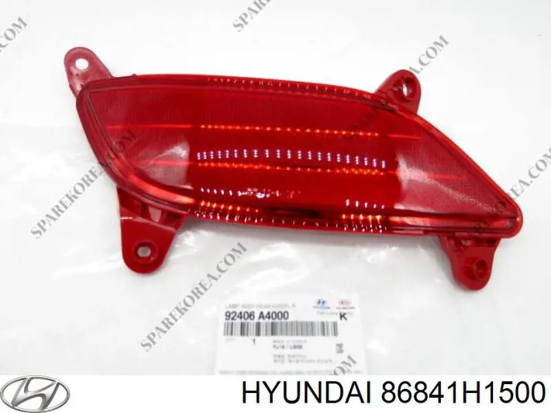 Бризковики задній, лівий 86841H1500 Hyundai/Kia