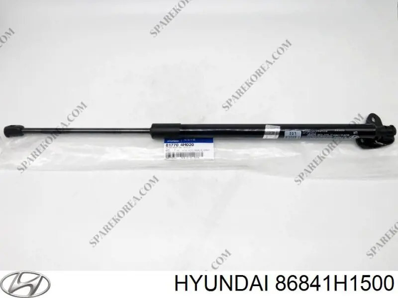 Бризковики задній, лівий Hyundai/Kia 86841H1500