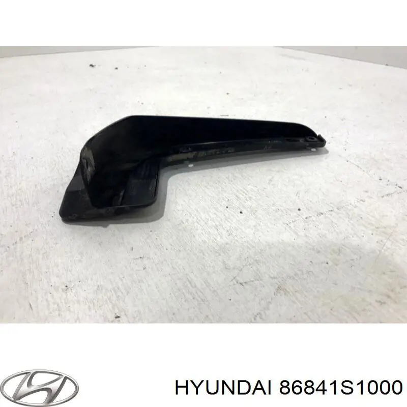86841S1000 Hyundai/Kia Бризговик задній, лівий