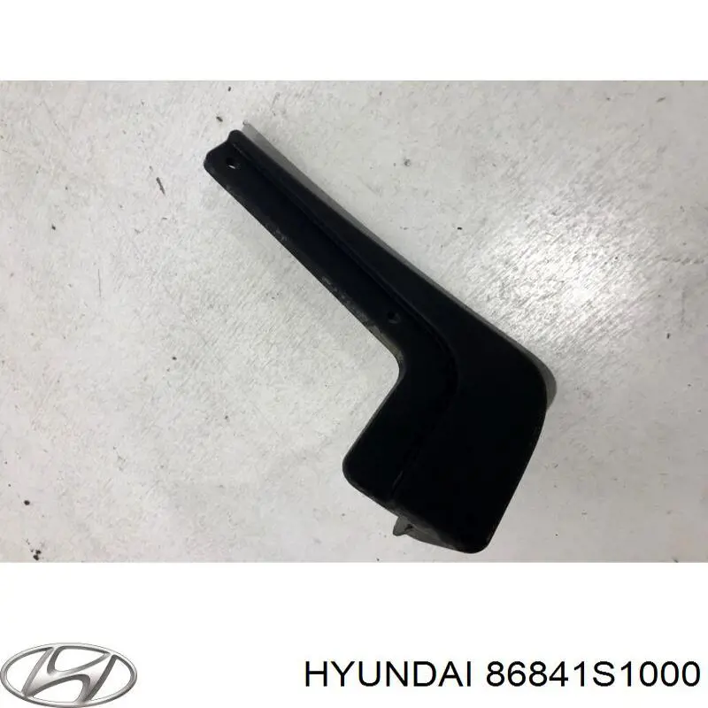 Бризковики задній, лівий Hyundai/Kia 86841S1000 ціна, від 16.92 USD