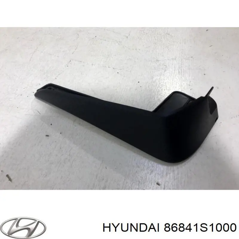 Купити 86841S1000 Hyundai/Kia Бризковики задній, лівий