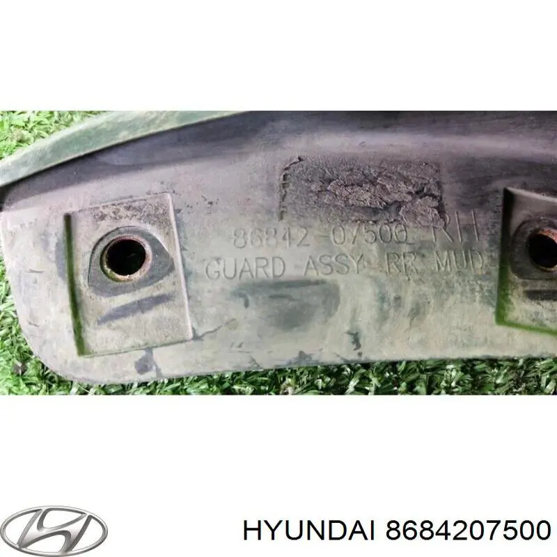 Бризковики задній, правий Hyundai/Kia 8684207500 ціна, від 2.19 USD