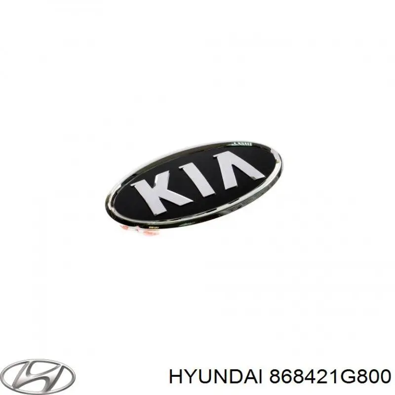868421G800 Hyundai/Kia бризковики задній, правий