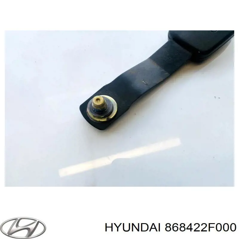 868422F000 Hyundai/Kia Бризговик задній, правий