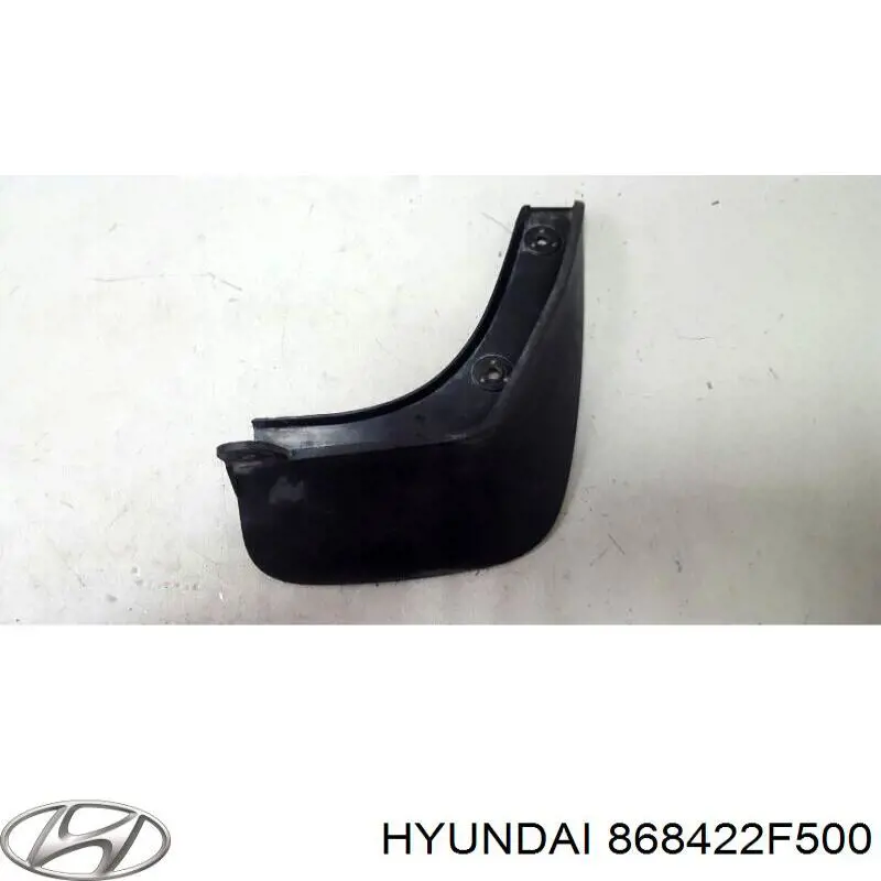 868422F500 Hyundai/Kia бризковики задній, правий